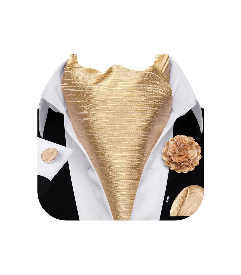 2341 Ascot Tie Cravat Set Champagne Scarf Neckties Pocket Square Cufflinks